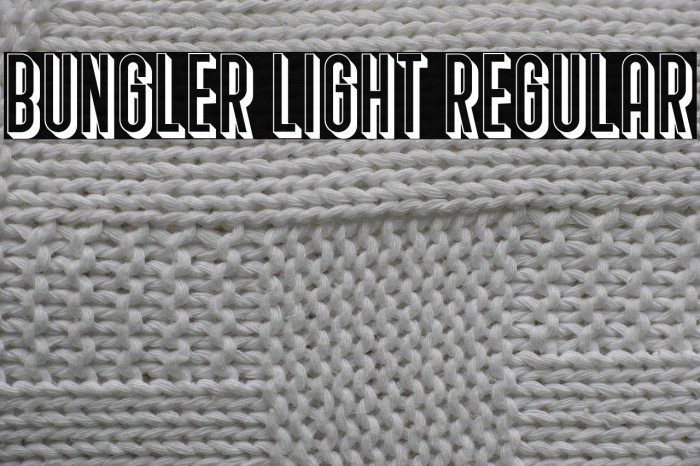 Bungler Light Regular Example 2