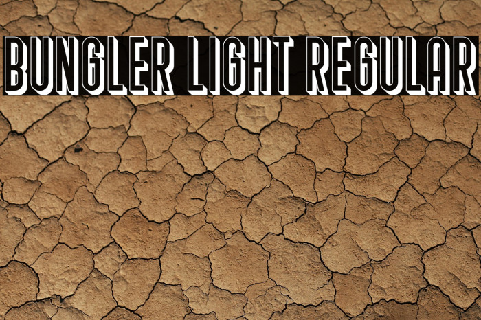 Bungler Light Regular Example 3