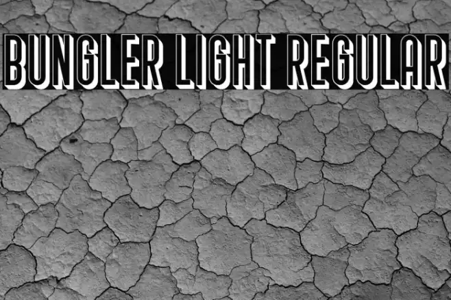 Bungler Light Regular Example 3