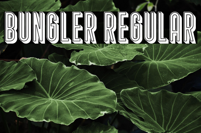 Bungler Regular Example 1