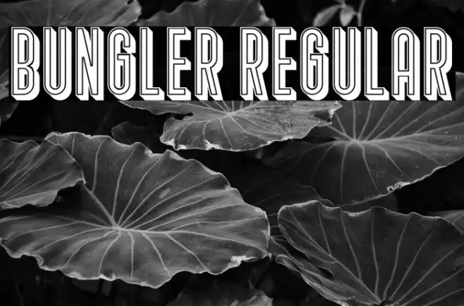 Bungler Regular Example 1