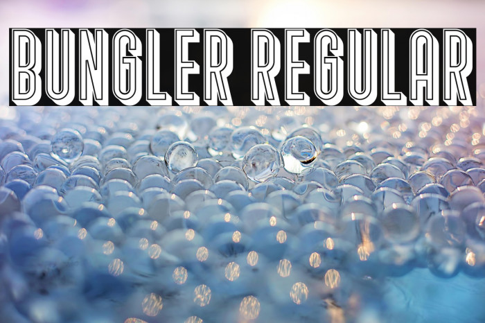 Bungler Regular Example 2