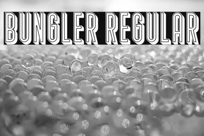 Bungler Regular Example 2