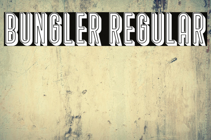 Bungler Regular Example 3