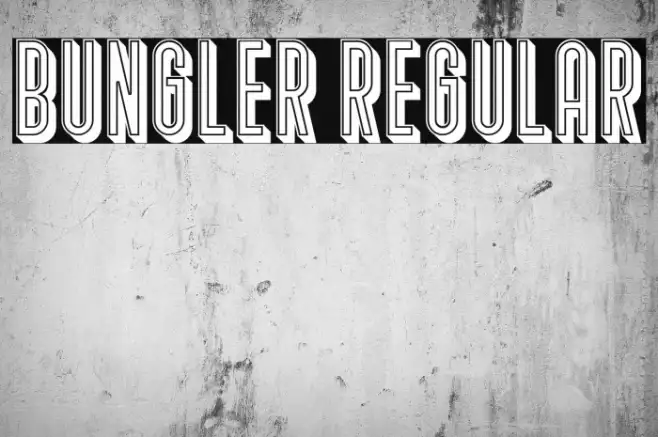 Bungler Regular Example 3