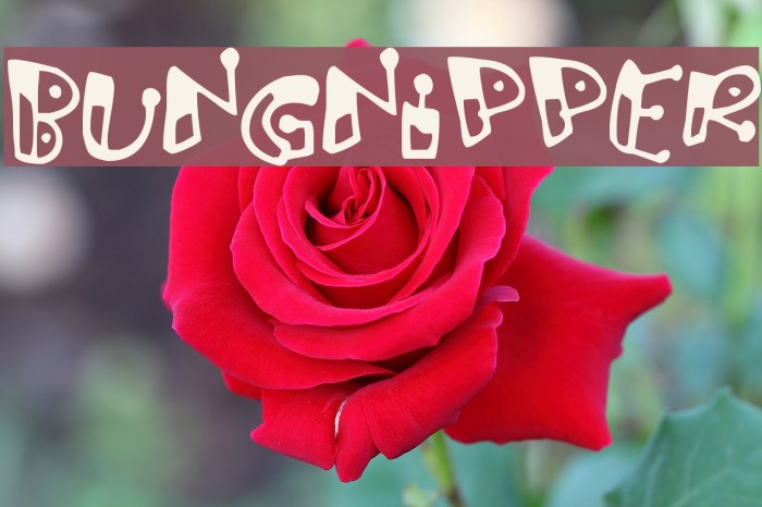 Bungnipper Font examples