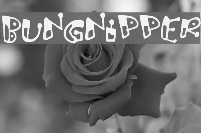 Bungnipper Font examples