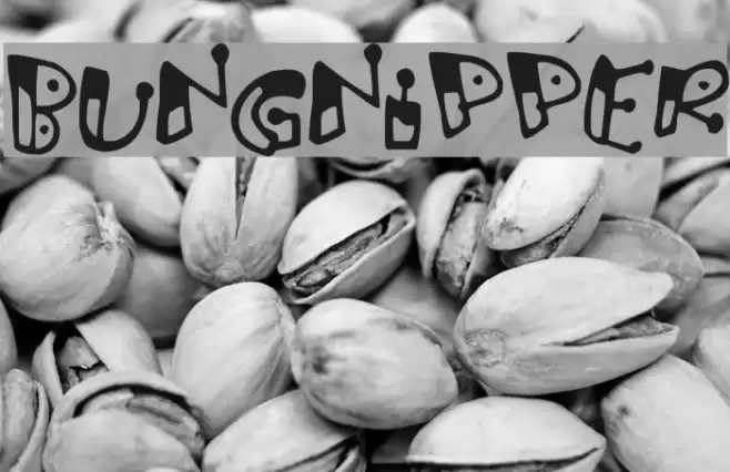 Bungnipper Font examples