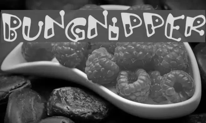 Bungnipper Font examples