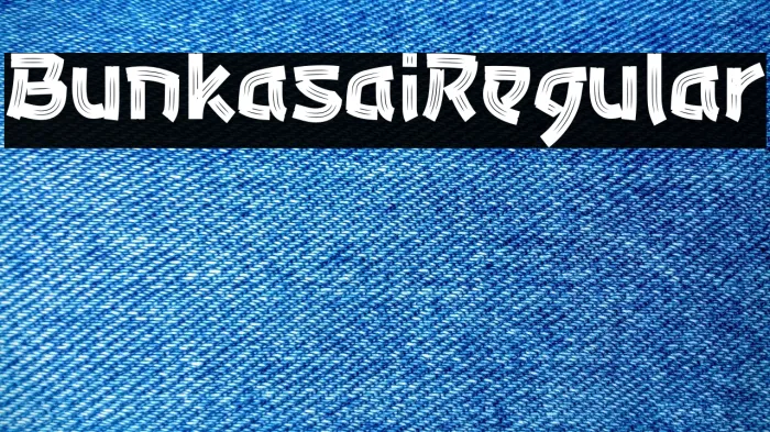 Bunkasai Regular Example 3