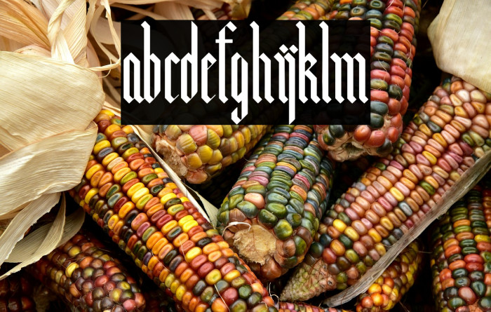 Bunker Lowercase Example 1