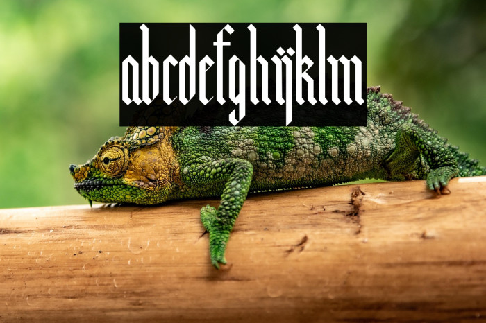 Bunker Lowercase Example 3