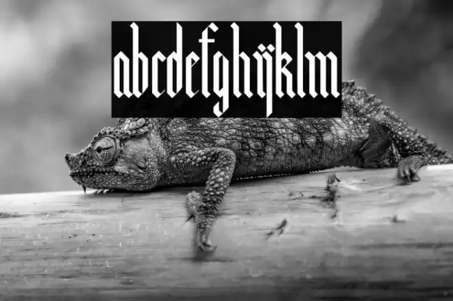 Bunker Lowercase Font examples