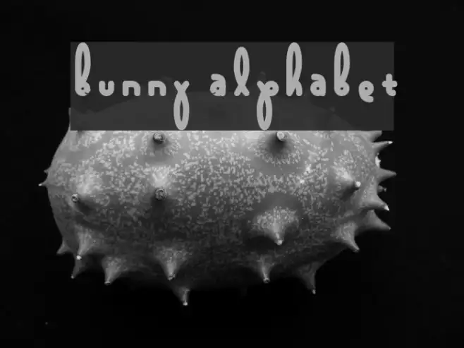 Bunny Alphabet Example 3