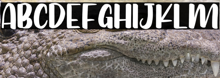 Bunny Baby Example 2