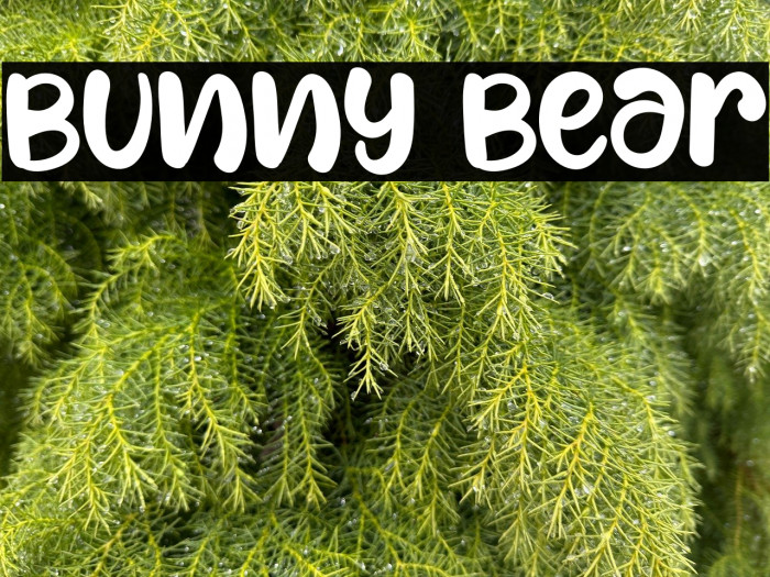 Bunny Bear Example 1