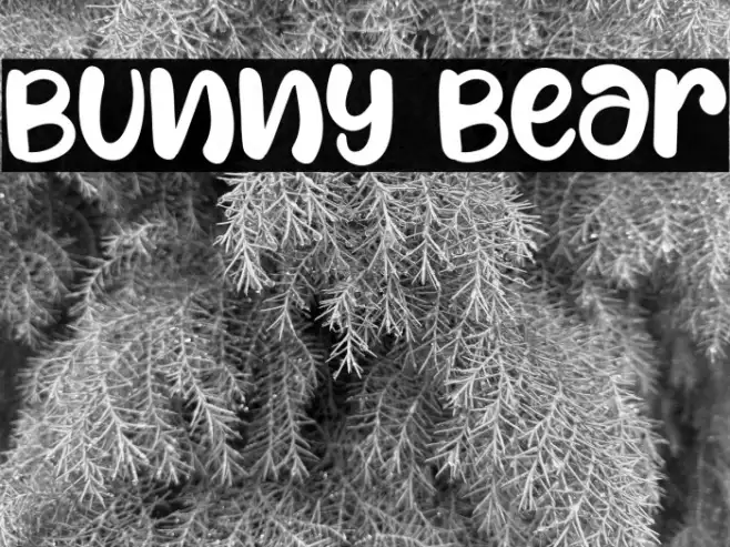 Bunny Bear Example 1