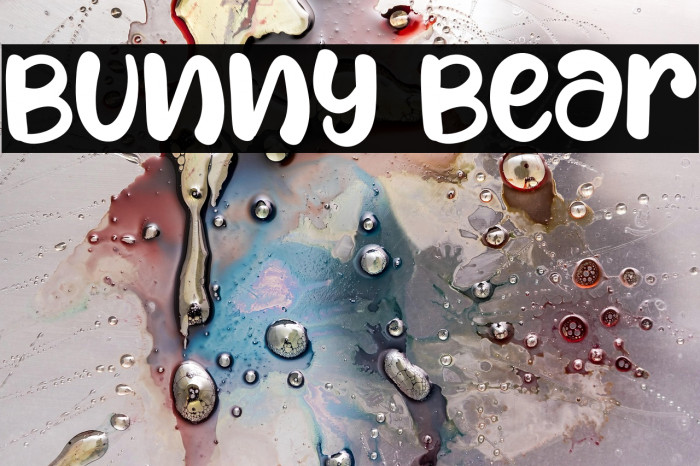 Bunny Bear Example 2