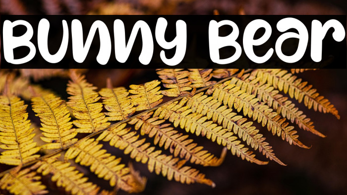 Bunny Bear Example 3