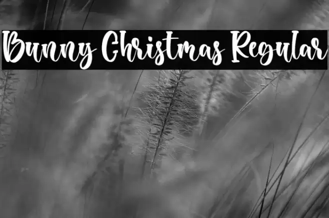 Bunny Christmas Regular Font examples