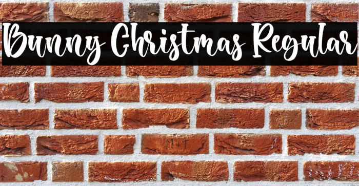 Bunny Christmas Regular Example 2