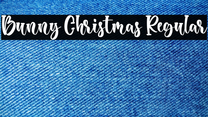 Bunny Christmas Regular Example 3