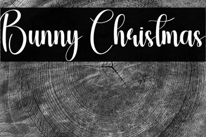 Bunny Christmas Schriftart examples