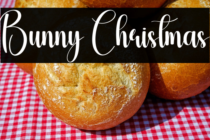 Bunny Christmas Example 3