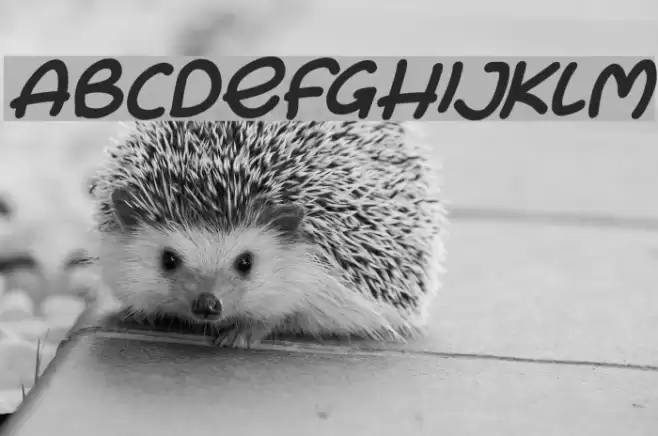 Bunny Ears Italic Font examples