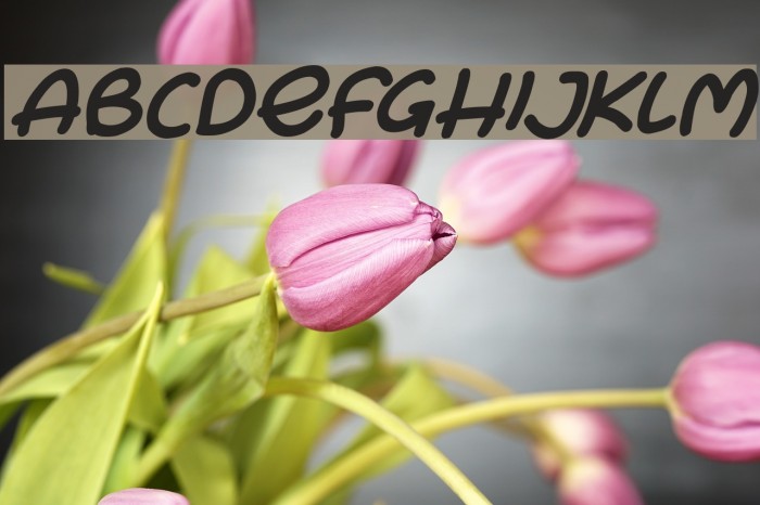Bunny Ears Italic Font examples