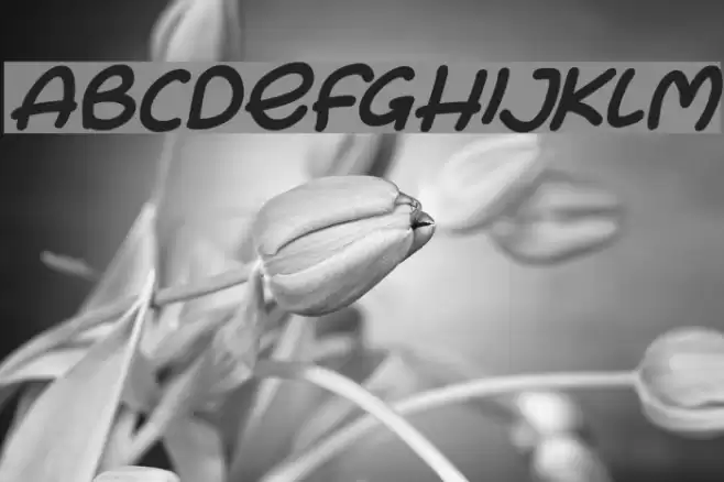 Bunny Ears Italic Font examples