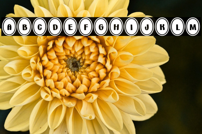 Bunny*Eggs Example 1