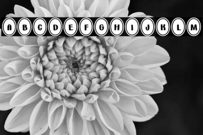 Bunny*Eggs Font examples