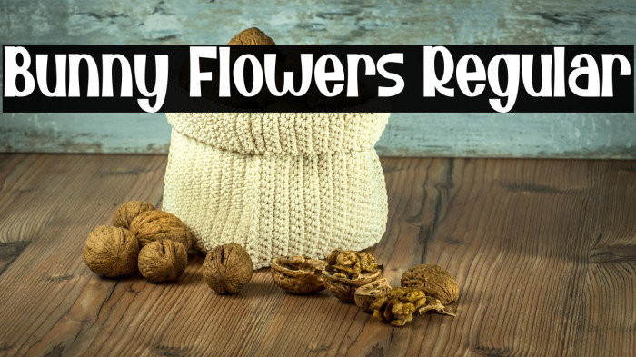 Bunny Flowers Regular Example 1