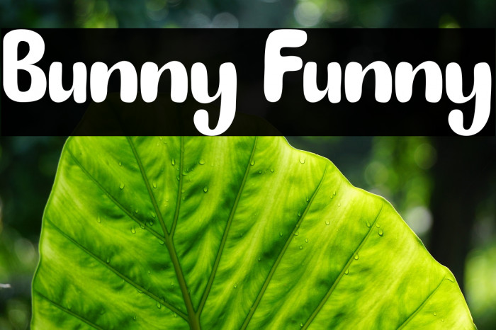 Bunny Funny Font examples