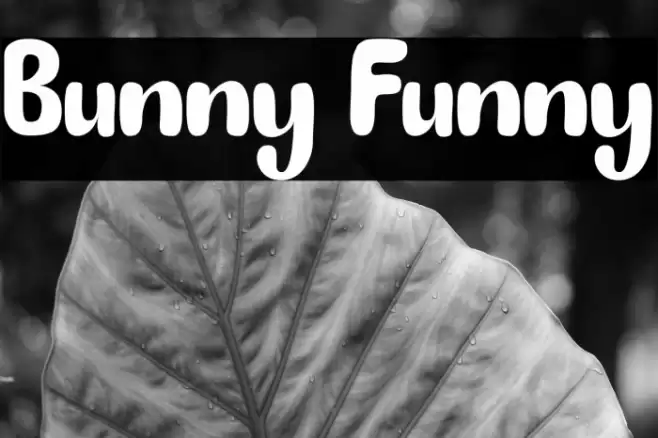 Bunny Funny Font examples
