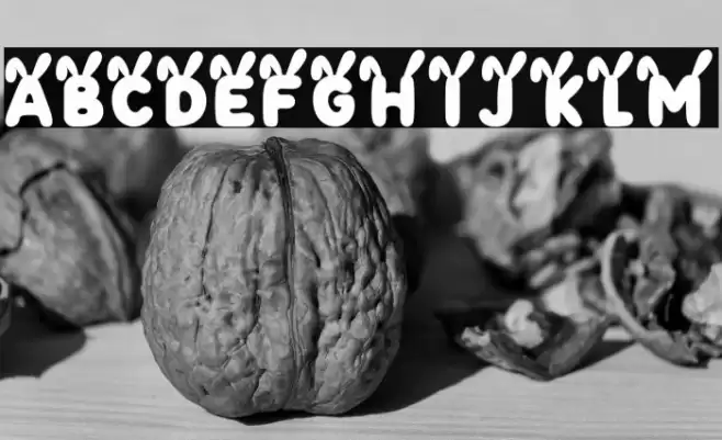 Bunny Gloff PERSONAL USE ONLY! Polices examples