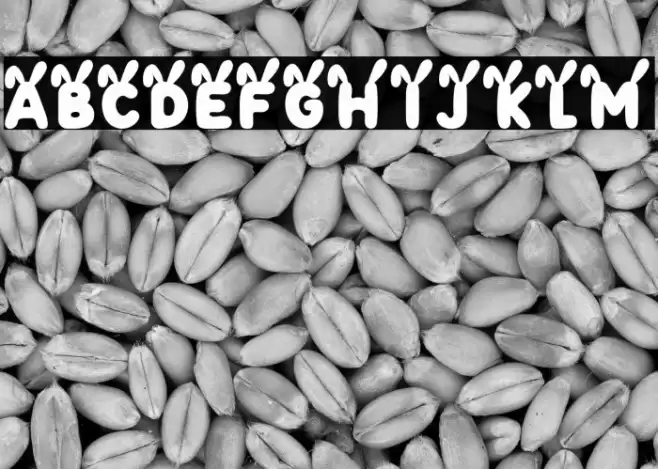 Bunny Gloff PERSONAL USE ONLY! Polices examples