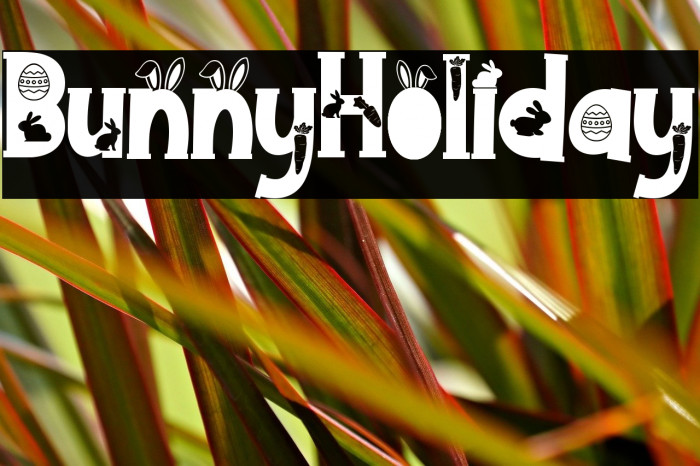 Bunny Holiday Example 2