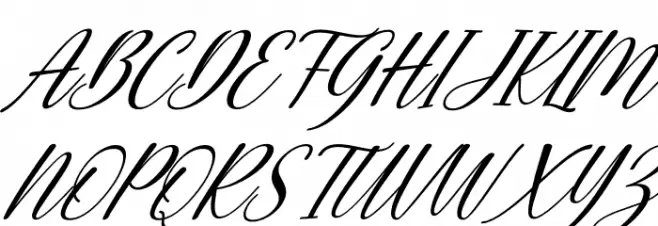 Bunny Honey Italic Font Litere mari