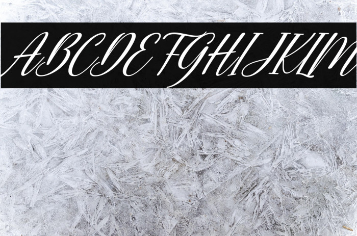 Bunny Honey Italic Example 1