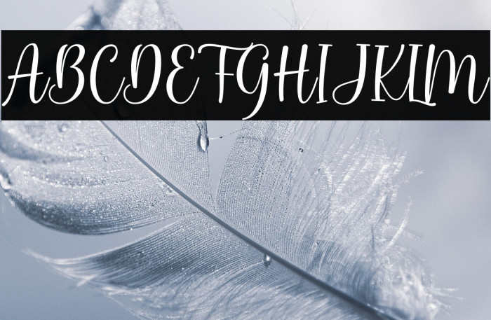 Bunny Honey Example 1