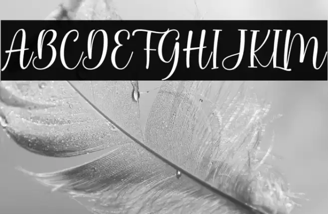 Bunny Honey Font examples