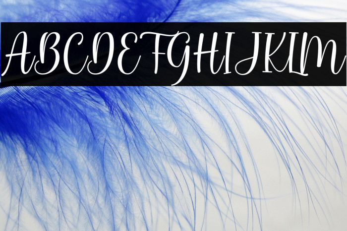 Bunny Honey Example 3