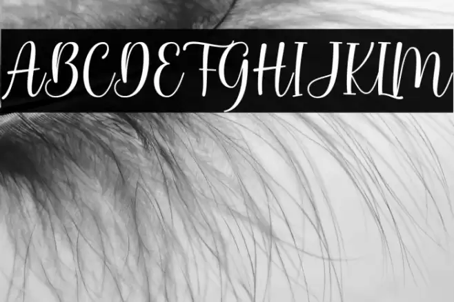 Bunny Honey Font examples