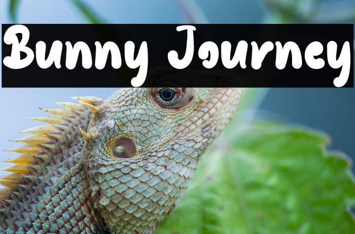 Bunny Journey Example 1