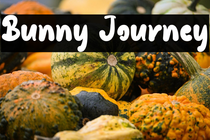 Bunny Journey Example 3