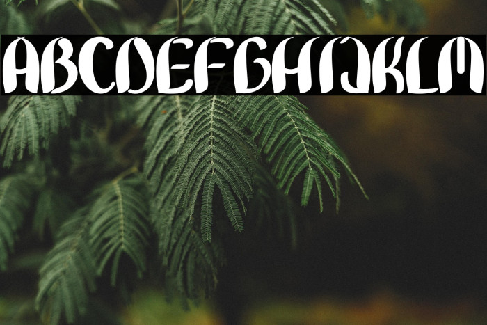 Bunny Lovely Example 1