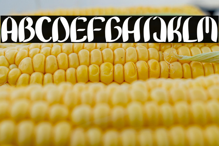 Bunny Lovely Example 2