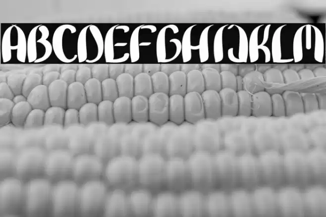 Bunny Lovely Font examples